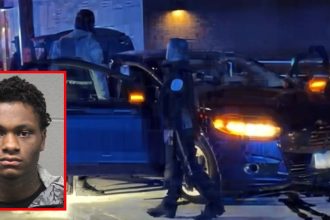 Driver charged with trying to murder 5 Chicago police officers by ramming car into them at street gathering