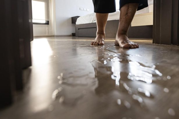Elderly Trauma Often Causes Rapid Decline. How Adult Children Can Help
