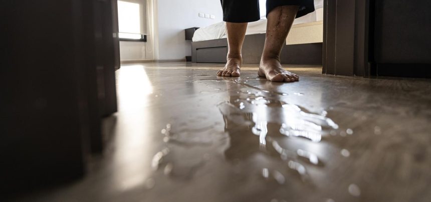 Elderly Trauma Often Causes Rapid Decline. How Adult Children Can Help