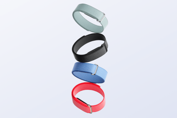 Fitbit Air Confirmed: Release Date, Price, Features