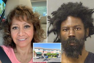 Florida mall where homeless man murdered shopper had ‘pattern’ of incidents: lawsuit