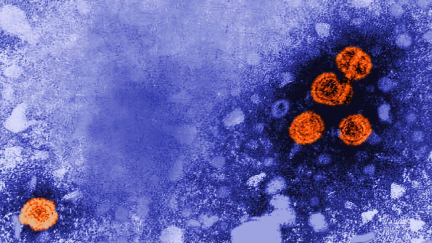 Hep B vaccine, microplastics in water, AI: Morning Rounds