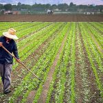 Is CF Industries Holdings, Inc. (CF) A Good Stock To Buy Now?