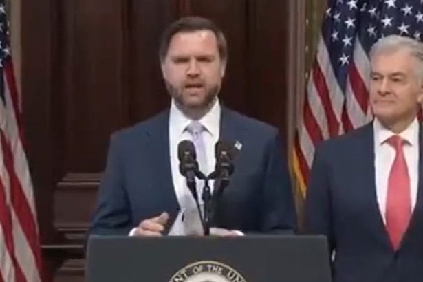 JD Vance Compares Himself To An Abandoned Child At Deranged White House Event