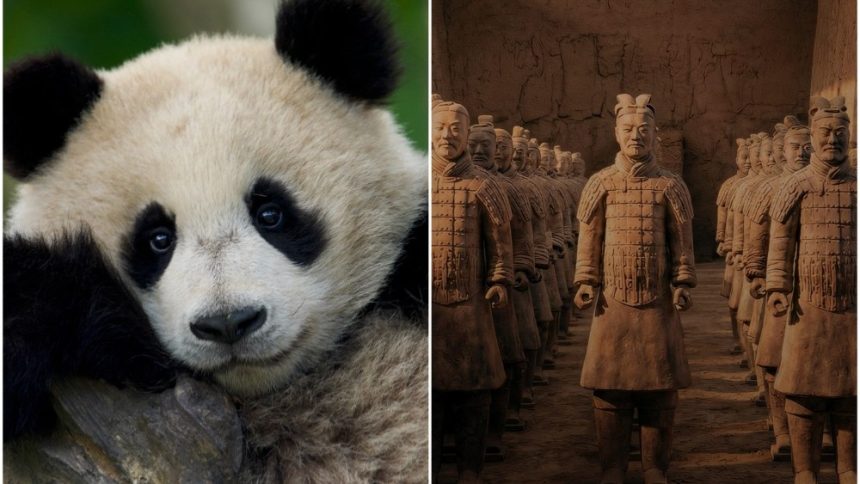 Jimmy O. Yang to Narrate ‘Panda School’ Doc for Beach House Pictures