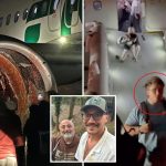 LA-bound family reveals gruesome moment plane struck person