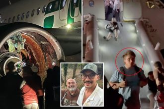 LA-bound family reveals gruesome moment plane struck person