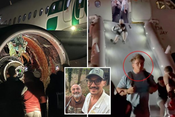 LA-bound family reveals gruesome moment plane struck person