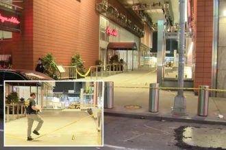 Man stabbed to death in attack near heart of Times Square: cops