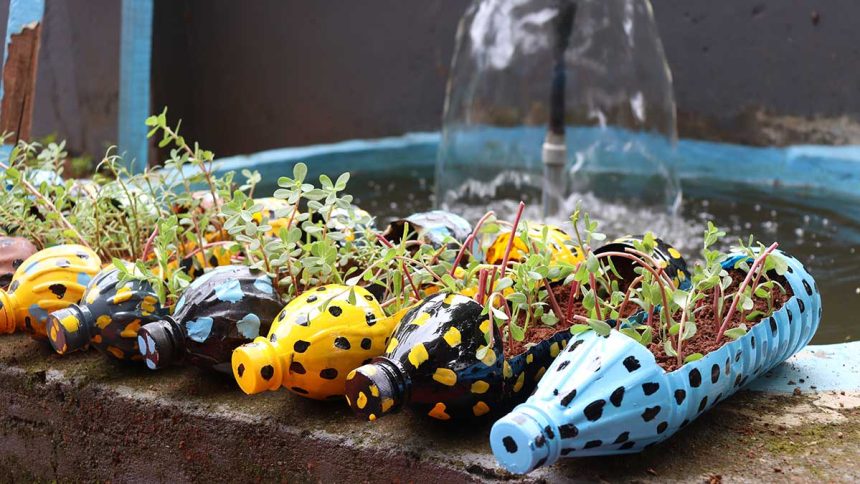 Outdoor Projects You Can DIY For Almost Nothing