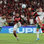 Palmeiras vs Chapecoense Prediction and Betting Tips