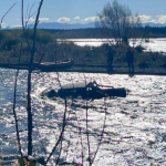 Rescuers told to hold off saving man, dogs in river