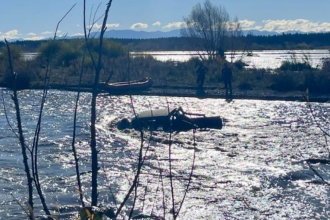 Rescuers told to hold off saving man, dogs in river