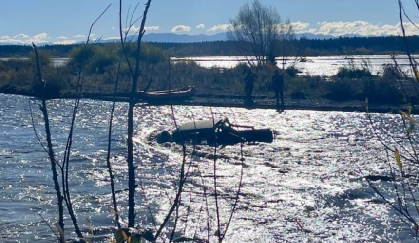 Rescuers told to hold off saving man, dogs in river