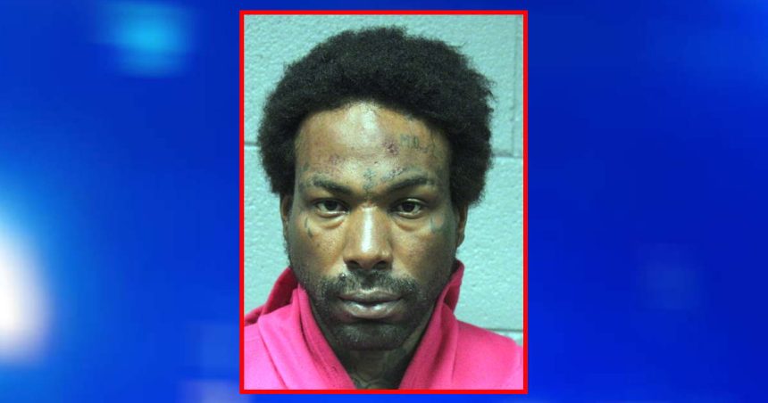 Riders intervene as felon attacks woman on CTA bus, police say