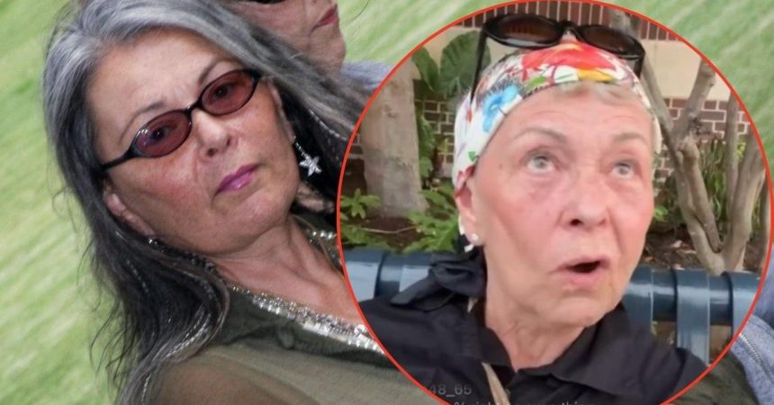 Roseanne Barr Faces Backlash After Getting Kicked Out of Granddaughter’s Recital
