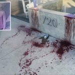 Samurai sword attacker who nearly hacked off man’s arm in Venice on the run from cops