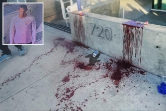 Samurai sword attacker who nearly hacked off man’s arm in Venice on the run from cops