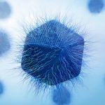 Scientists Discover New Giant Virus That Replicates in a Totally Unique Way : ScienceAlert