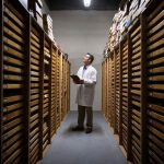 Scientists Keep Finding Major Discoveries Lurking in Museum Backrooms : ScienceAlert