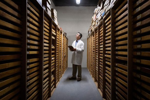 Scientists Keep Finding Major Discoveries Lurking in Museum Backrooms : ScienceAlert