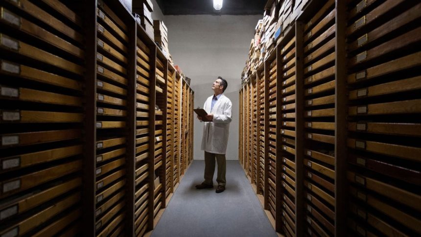 Scientists Keep Finding Major Discoveries Lurking in Museum Backrooms : ScienceAlert