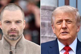 Sebastian Stan Slams Donald Trump After The Apprentice Movie