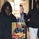 Stranger assaulted by maniac weeks before he pushed retired NYC teacher to death recounts frightening attack