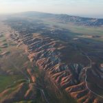 The ramifications of record-shattering heat on the West’s ecosystems
