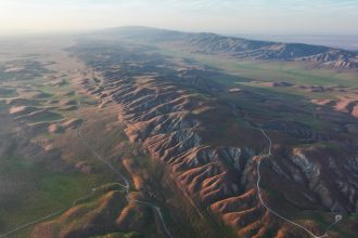The ramifications of record-shattering heat on the West’s ecosystems