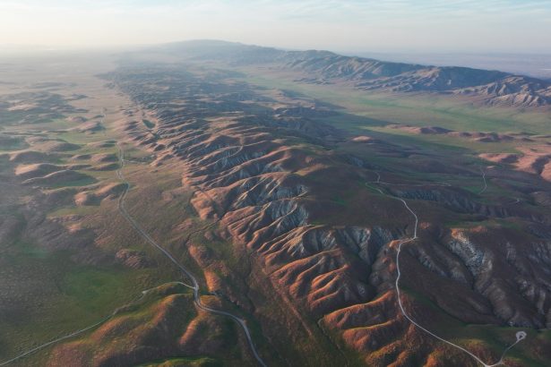 The ramifications of record-shattering heat on the West’s ecosystems