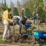 The solution to urban heat is much, much simpler than you think
