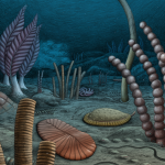 These bizarre fossils represent some of the earliest moving, sexually reproducing life ever discovered
