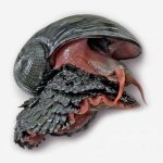 To celebrate Endangered Species Day, meet the scaly-foot snail, the most metal animal in the world