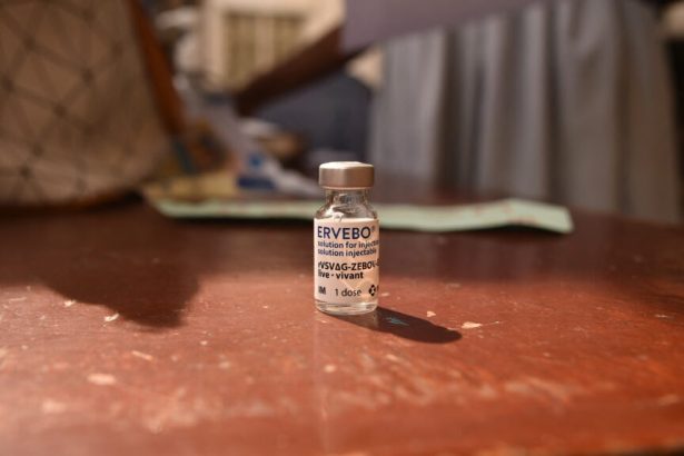 WHO Ebola experts weigh trying old vaccine in new outbreak