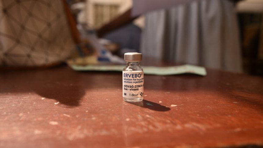 WHO Ebola experts weigh trying old vaccine in new outbreak