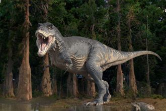 We may finally know why dinosaurs like T. rex evolved tiny arms