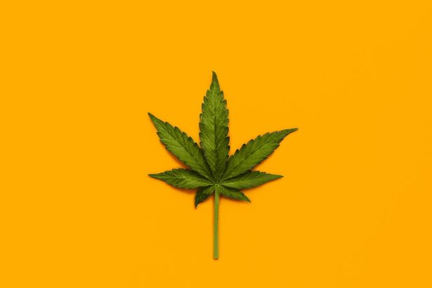 What we know—and what we don’t—about marijuana’s health effects