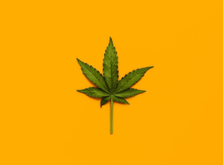 What we know—and what we don’t—about marijuana’s health effects