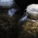 White House plan on drug strategy runs counter to recent actions