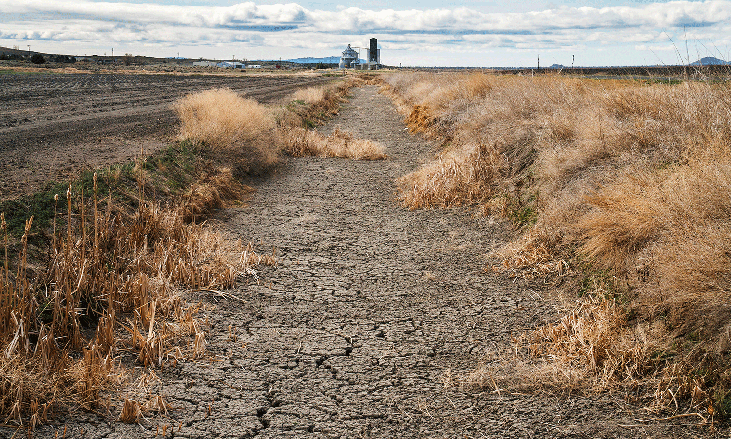 Widespread Record US Drought Threatens Rural Livelihoods and Food Affordability