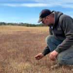 Wild blueberry farms across Maine suffer as climate change upends growing seasons