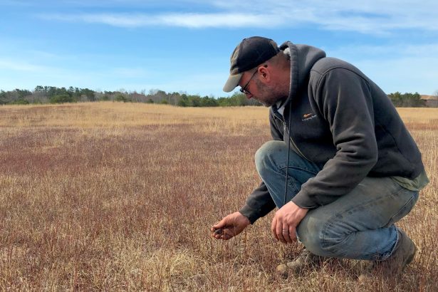 Wild blueberry farms across Maine suffer as climate change upends growing seasons