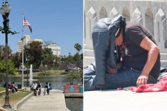 World Cup watch party in MacArthur Park? Clean it up first
