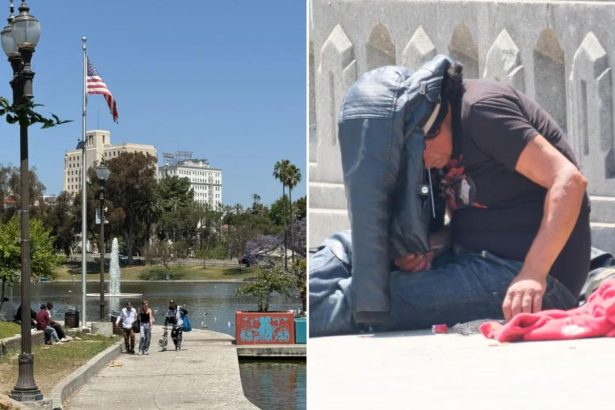 World Cup watch party in MacArthur Park? Clean it up first