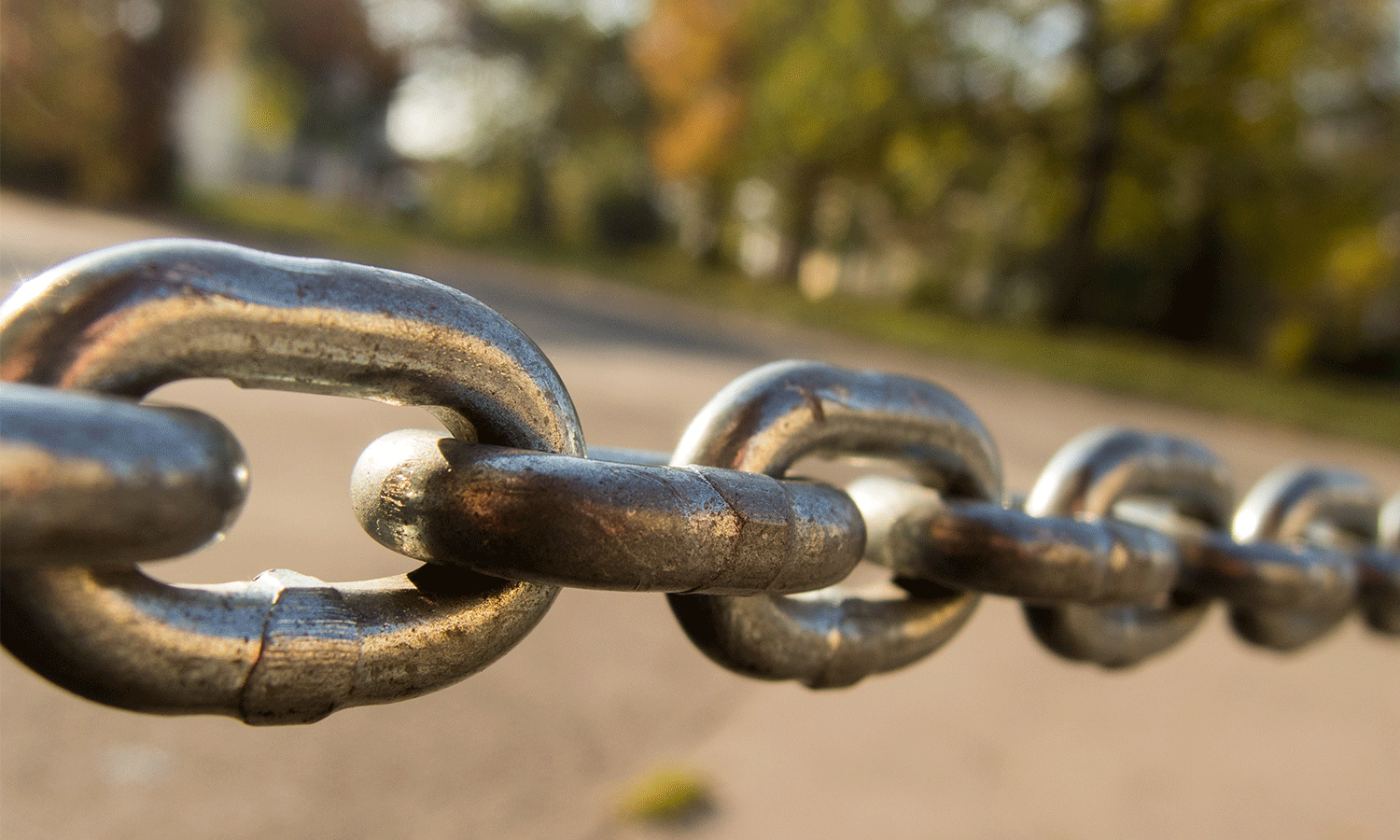 Your Anti-Disinformation Safety Chain for Danger Season