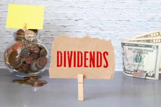 2 Top-Tier Dividend ETFs that Complement Each Other Well to Invest in Right Now