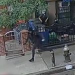 2 young men shot as Brooklyn Puerto Rican Day Parade wraps up: cops