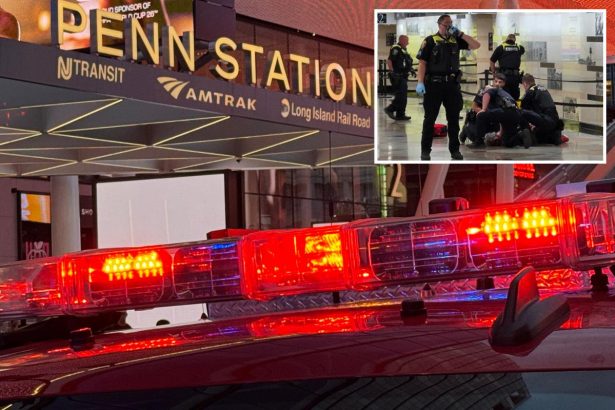5 stabbed in bloody attack inside Penn Station — suspect in custody