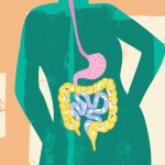 8 things to know about the gut microbiome and keeping yours healthy : NPR
